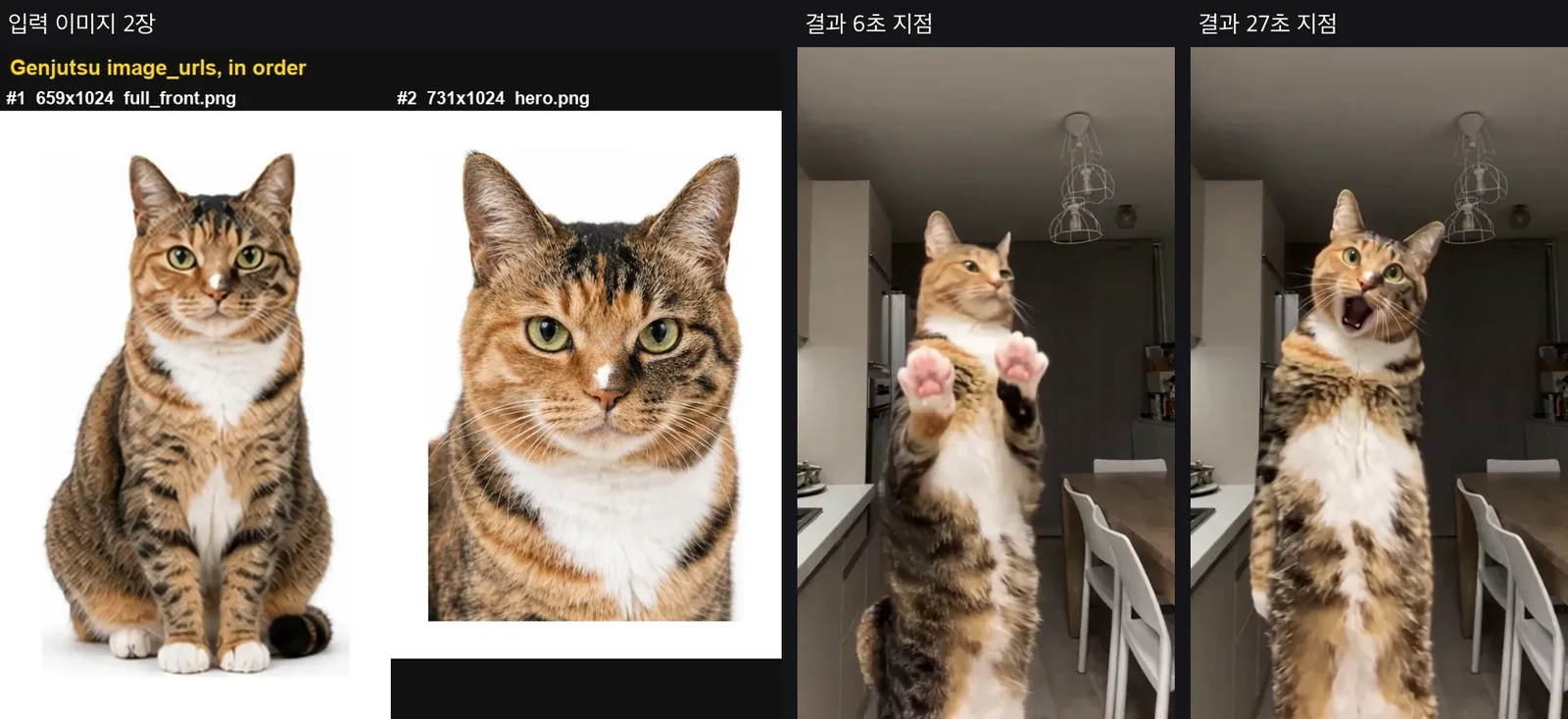 고양이 이미지 2장을 넣어 Genjutsu object-swap으로 만든 밈 결과 프레임
